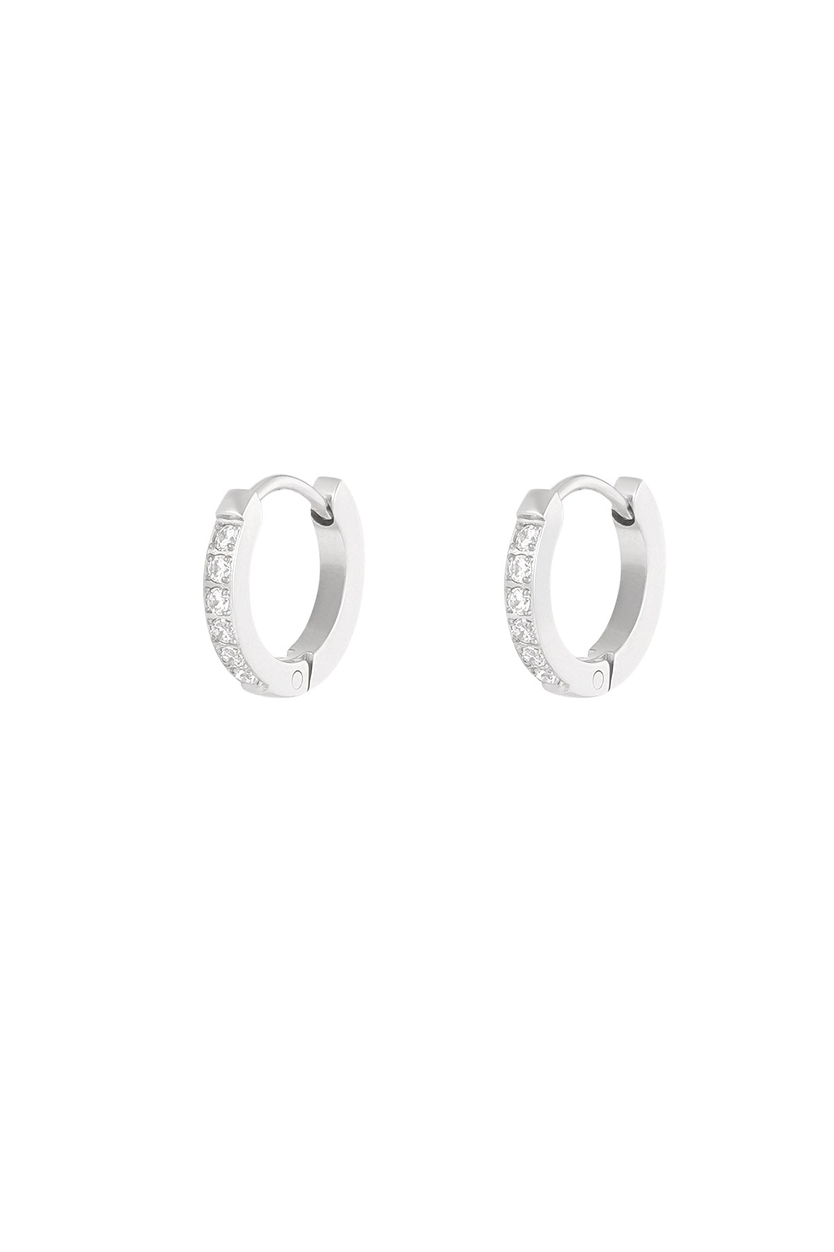 Dazzle oorbellen zilver