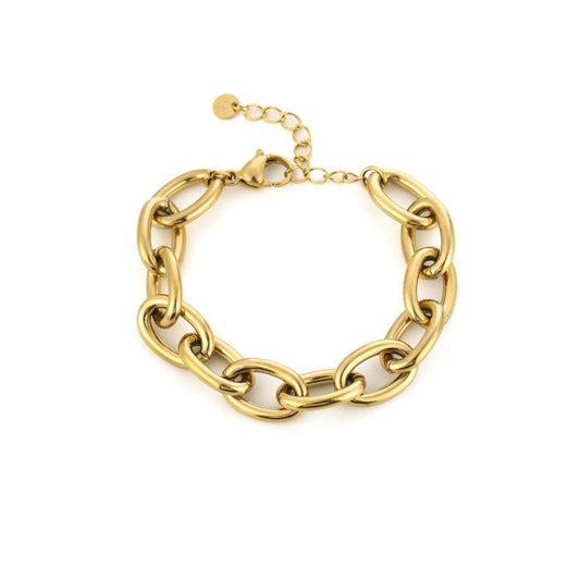 Schakel armband goud