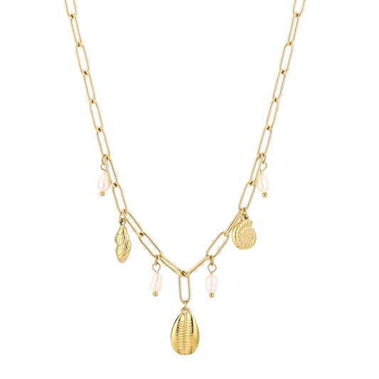 Kleine schelp bedel ketting goud