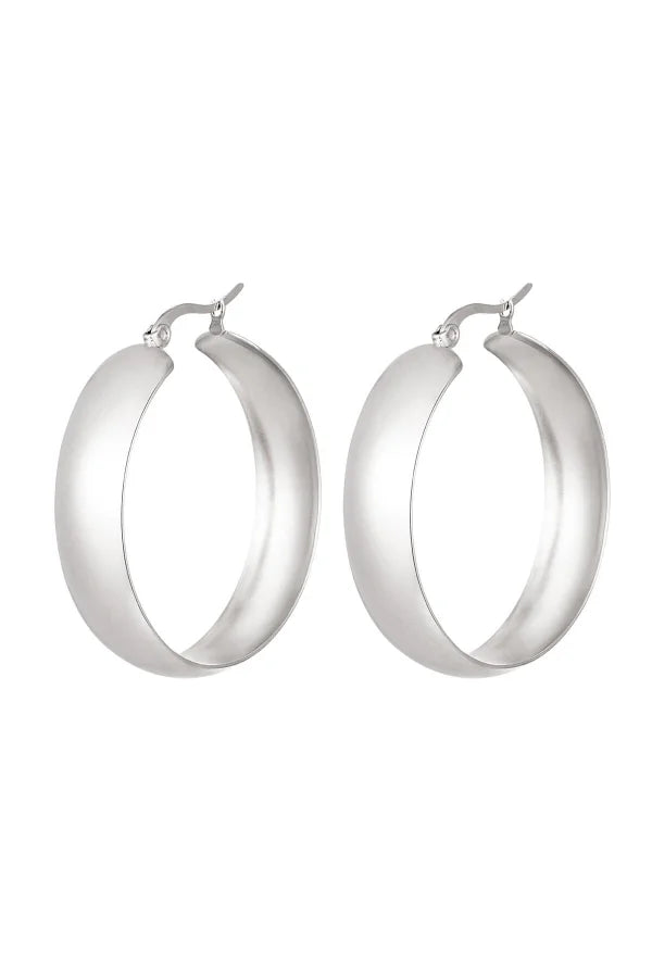 Chique oorbellen zilver