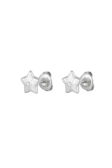 Star studs zilver