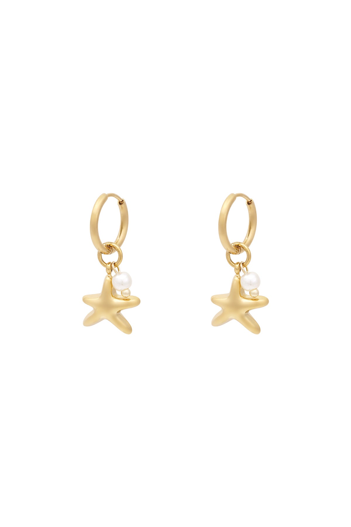 Star of the sea oorbellen goud