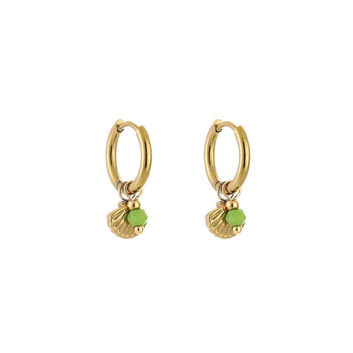 Mini schelp oorbellen groen goud