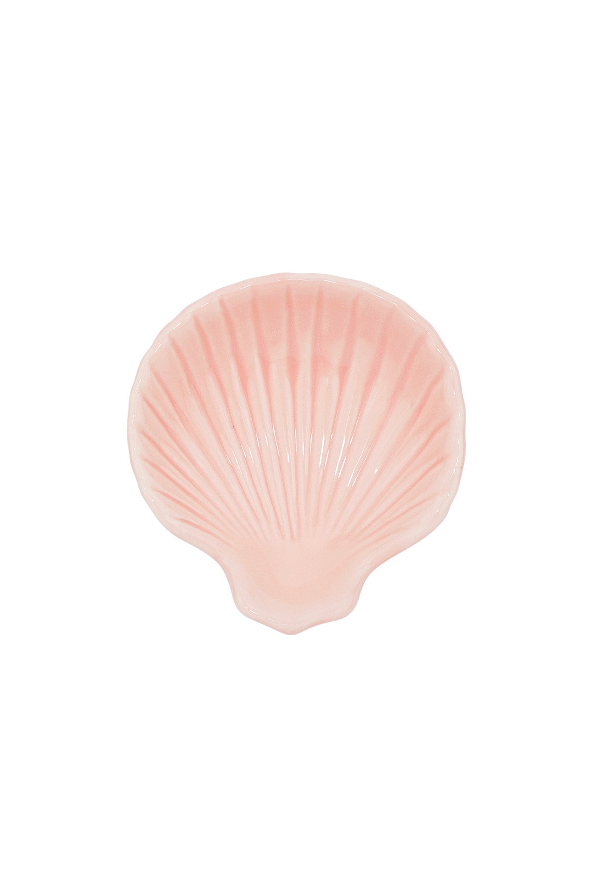Schelp display roze