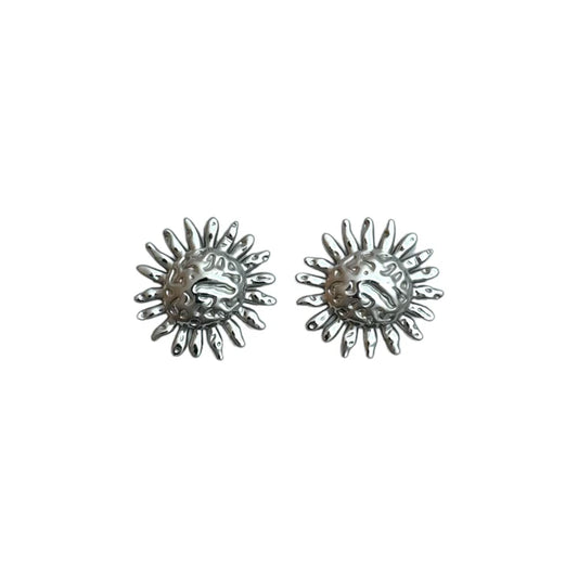 Sunny oorbellen zilver