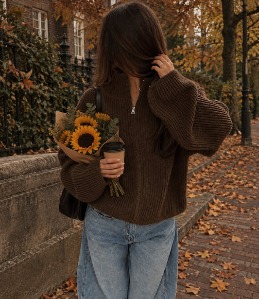 Zip sweater bruin